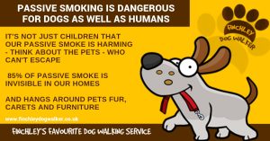 PASSIVE-SMOKING-300x157 Passive Smoking and your Pets