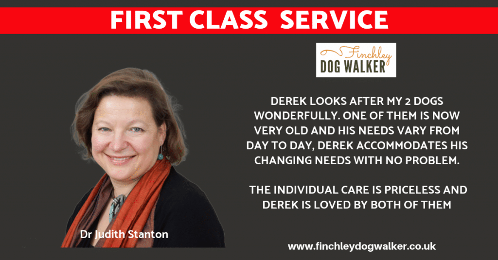 finchley-dog-walker-testimonial-judith-stanton-1024x535 Testimonials