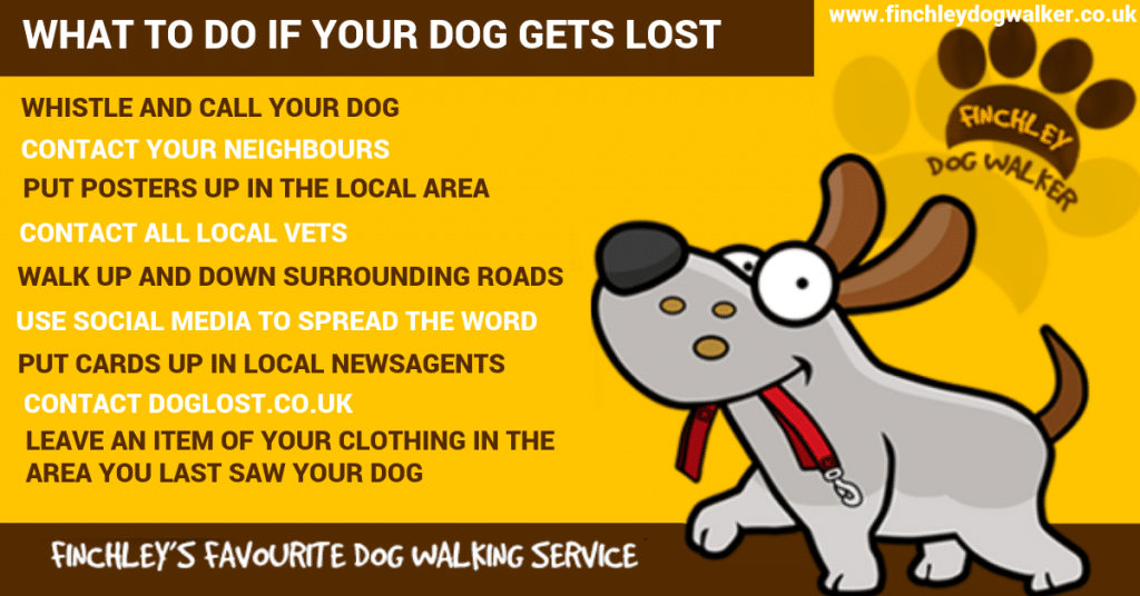 dog-lost-tip-from-finchley-dog-walker-1024x536 What to Do if Your Dog Gets Lost