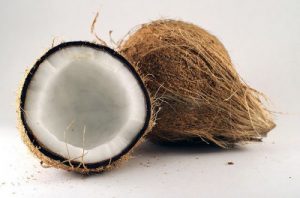 benefits-of-coconut-oil-for-dogs-300x198 The Benefits of Coconut Oil For Dogs