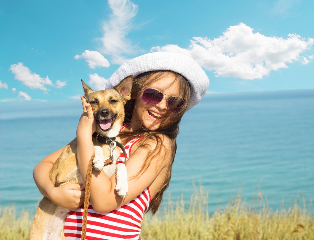 dogs-and-sunburn-finchley-dog-walker Can dogs get sunburn