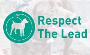 Respect-The-Lead-Portfolio-Image-490x300-300x184 Finchley Dog Walker supports “Respect the Lead” campaign