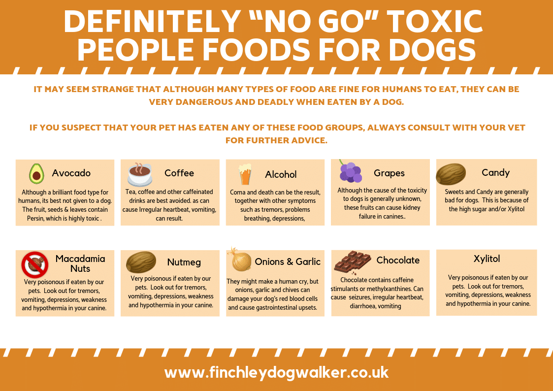 Toxic & Deadly Foods For Dogs - Finchley Dog Walker