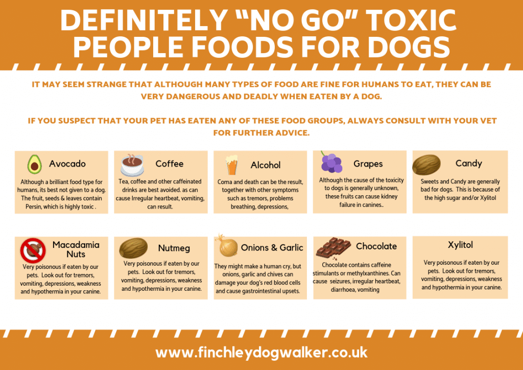 Definitely-“No-Go”-Toxic-to-people-foods-for-dogs-1024x724 Toxic foods for dogs