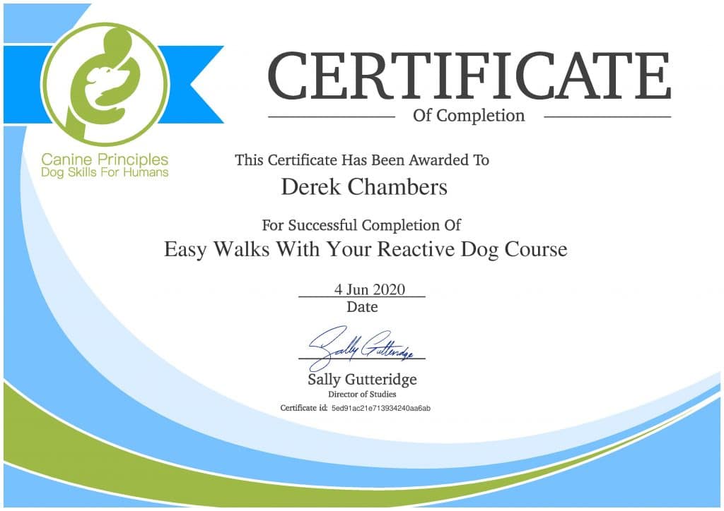 easy-walks-1024x724 Dog Training And Pet Care certificates