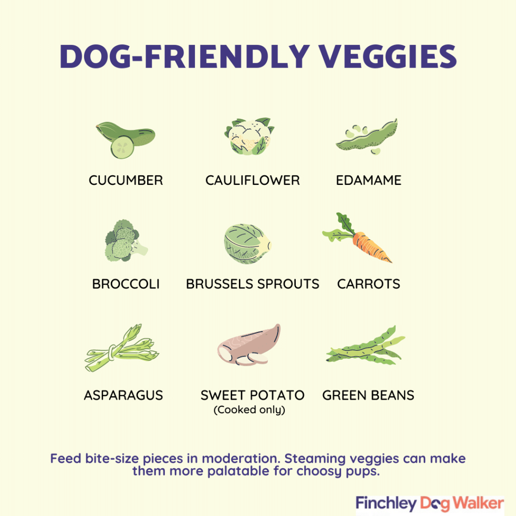 Dog-friendly-veggies-finchley-dog-walker-1024x1024 Summer Treats to keep your dog cool.