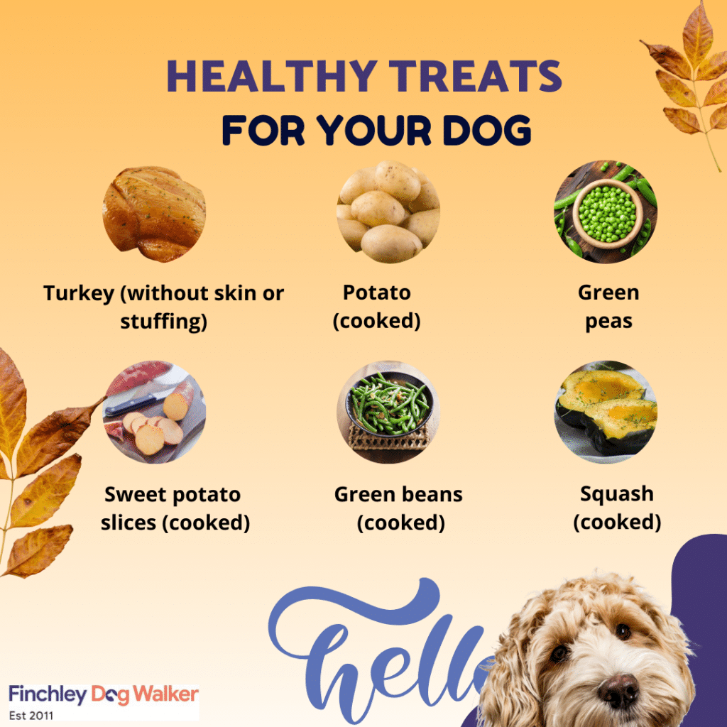 healthy-treats-for-dogs--1024x1024 Senior Dog Nutrition Tips