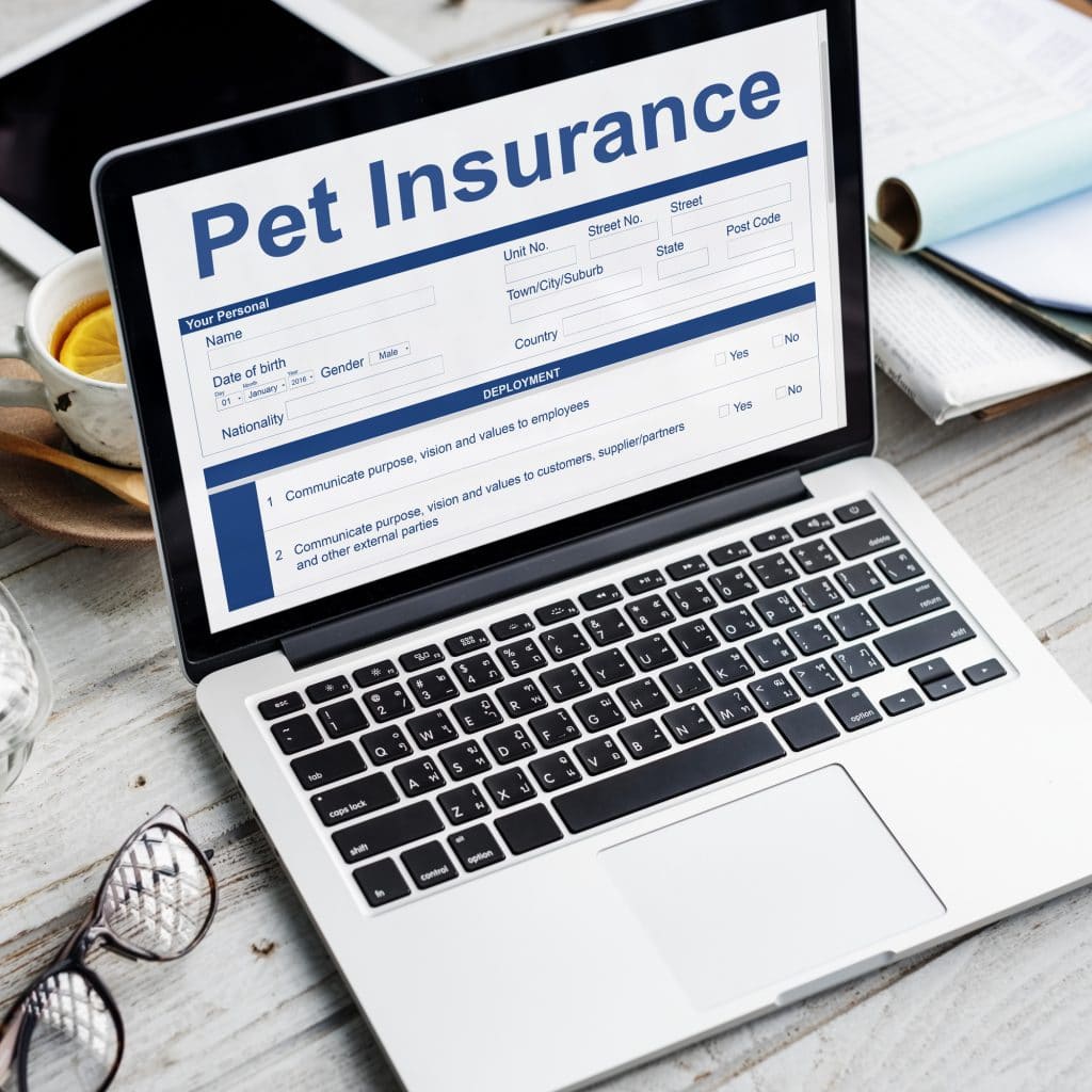 Depositphotos_132032884_L-1024x1024 Pet Insurance and Your Dog