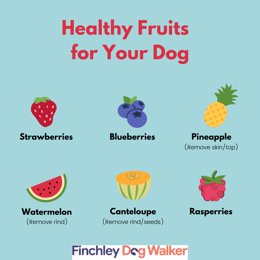 Healthy Summer Snacks For Your Dog  
