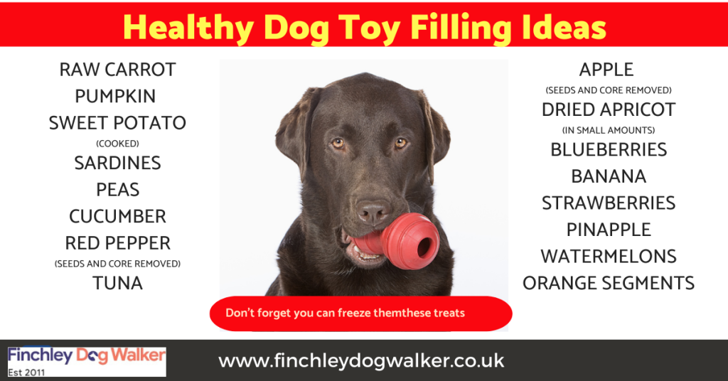 healthy-fillers-1024x536 A Complete Guide to Kong Toys for Dogs: Sizes, Types, Fillings