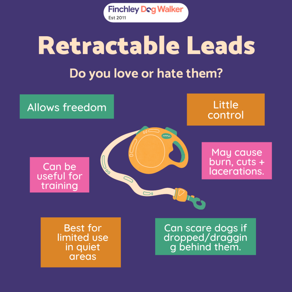 Retractable-leashes-1024x1024 Dog Walking Tips Everyone Should Know