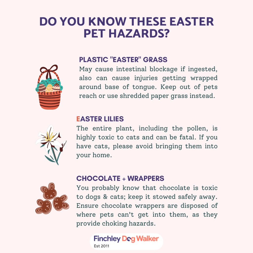Copy-of-Do-You-Know-These-Easter-Pet-Hazards-1024x1024 Easter