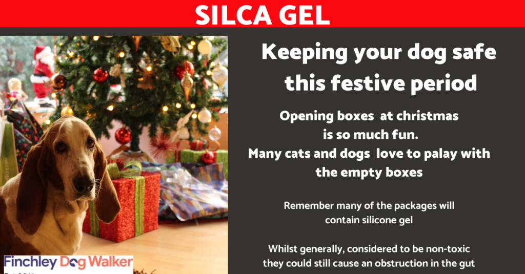 silican-1024x535 The Dangers of Christmas Presents and Your Dogs